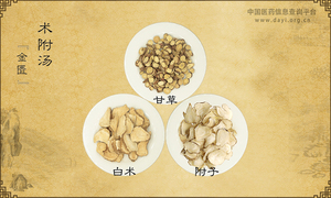 术附汤《金匮》