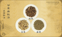 甘草麻桂汤《症因脉治》