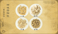 四味回阳饮《景岳全书》