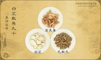 白芷散《圣济总录》卷九十