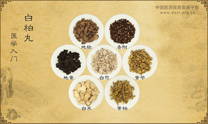 白柏丸《医学入门》