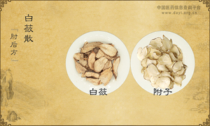 白蔹散《肘后方》