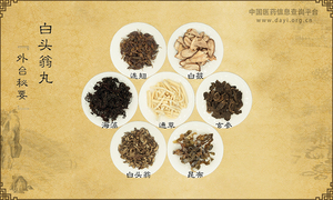 白头翁丸《外台秘要》