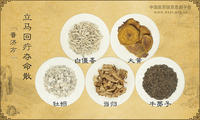 立马回疔夺命散