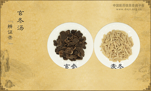 玄冬汤《辨证录》