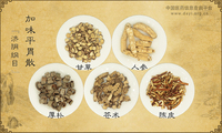 加味平胃散《济阴纲目》