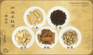 加味术桂汤