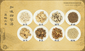 加味四苓汤