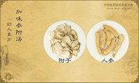 加味参附汤