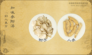 加味参附汤