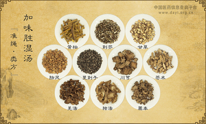加味胜湿汤