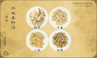 加味姜附汤