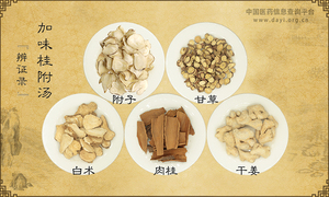 加味桂附汤