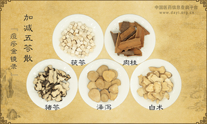 加减五苓散《痘疹金镜录》