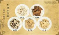 加减五苓散《痘疹金镜录》