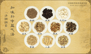 加味补中益气汤《济阴纲目》