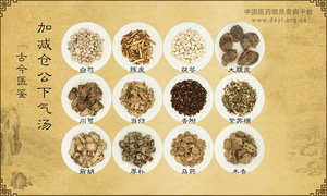 加减仓公下气汤