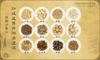 加减益胃升阳渗湿汤