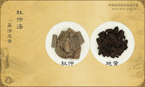 杜仲汤《圣济总录》卷八十一