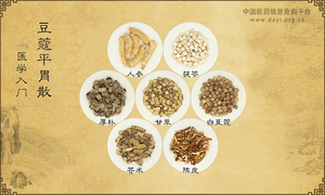 豆蔻平胃散