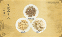 豆蔻白术丸《鸡峰》
