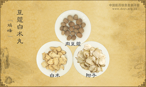 豆蔻白术丸《鸡峰》