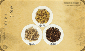 苍莎丸