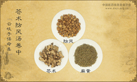 苍术防风汤《云岐子保命集》卷中