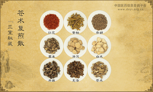 苍术复煎散