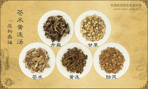 苍术黄连汤