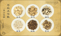 苍桂五苓散