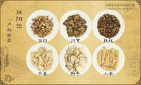 扶阳饮