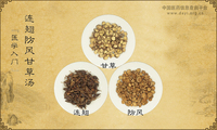 连翘防风甘草汤《医学入门》