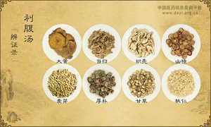 利腹汤《辨证录》