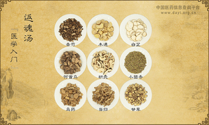 返魂汤《医学入门》