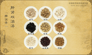 肝肾双治汤