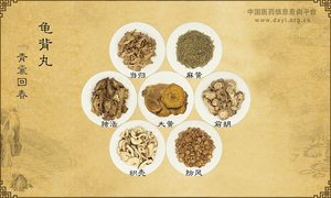 龟背丸