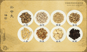 补中丸《袖珍》