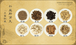 补益肝肾丸