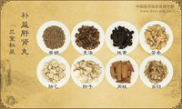 补益肝肾丸