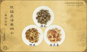 陈橘皮汤《圣济总录》卷四十