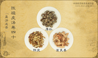 陈橘皮汤《圣济总录》卷四十