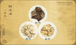 附术汤