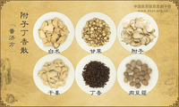 附子丁香散