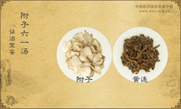 附子六一汤《证治宝鉴》