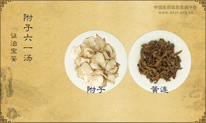 附子六一汤《证治宝鉴》