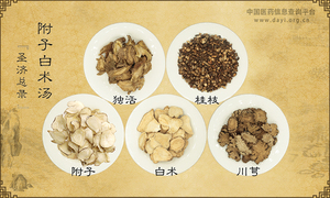 附子白术汤