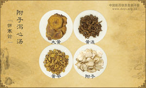 附子泻心汤《伤寒论》