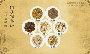 附子猪苓汤《银海精微》