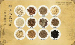 附子木瓜煎丸《鸡峰普济方》